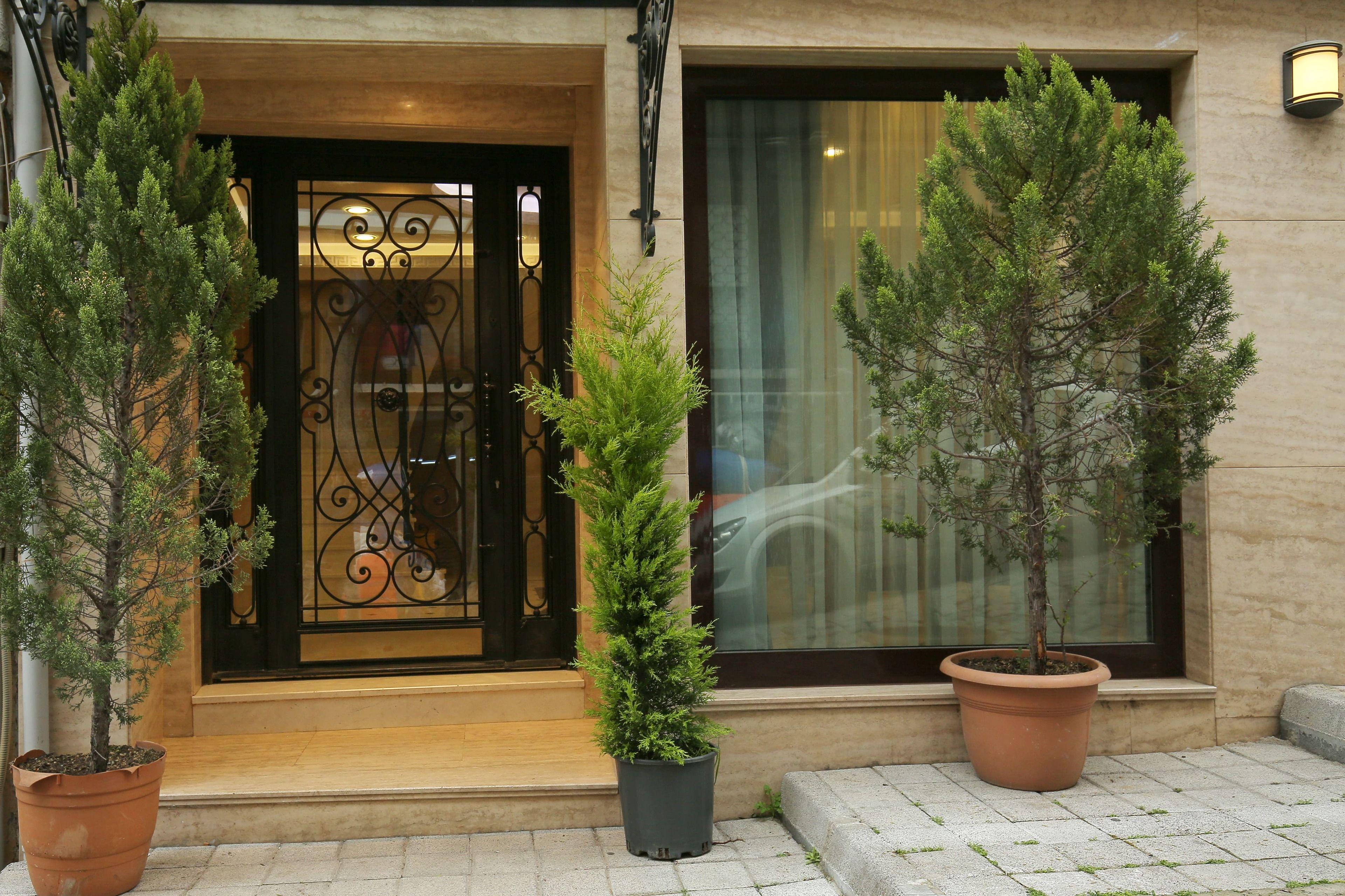 Artika Hotel — Fotos 3